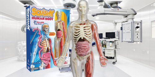 Smart Lab Squishy Human Body Kit Just $15 Shipped (Regularly $30) | Hands-On Fun