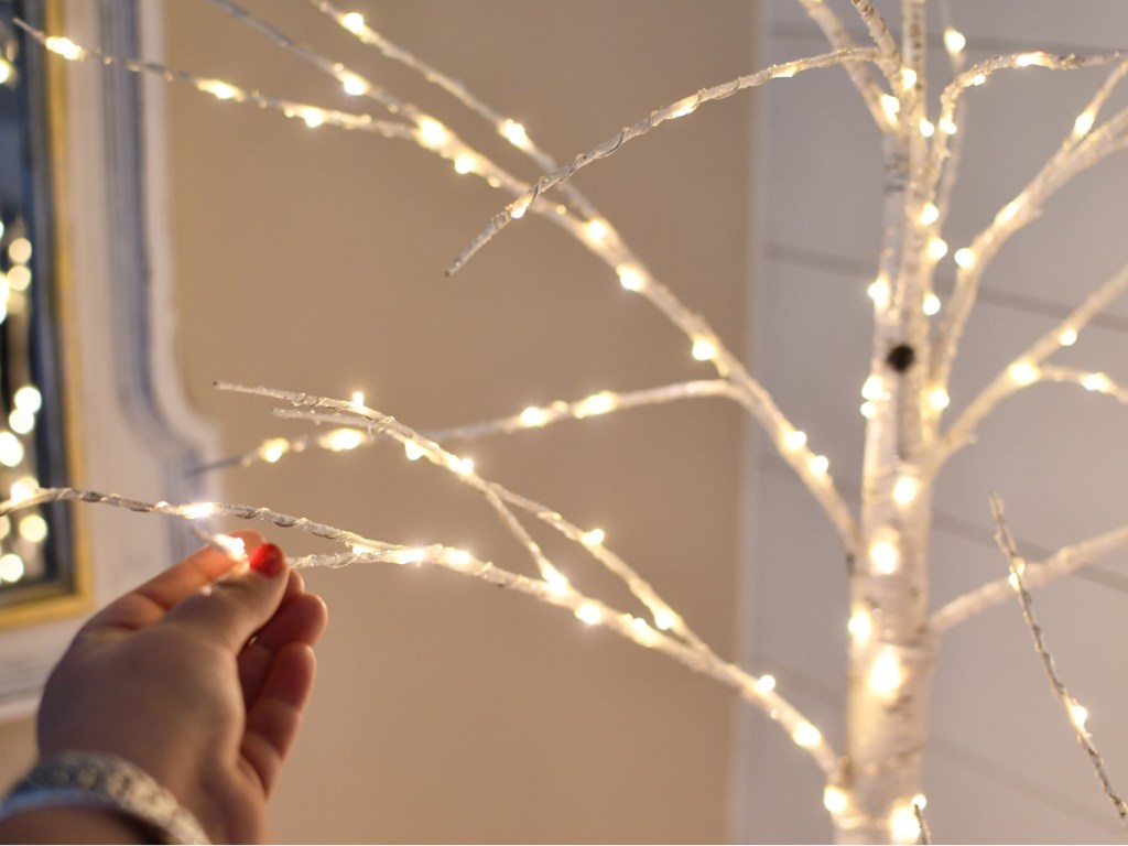 hand touching lighted twig tree branch