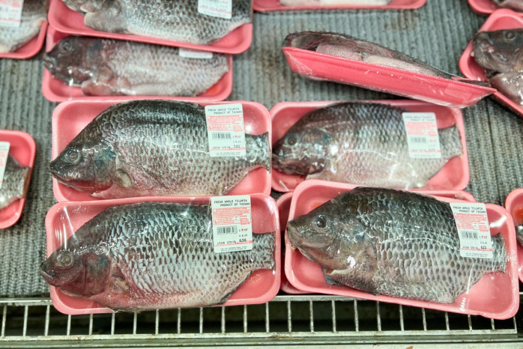 packaged frozen fish