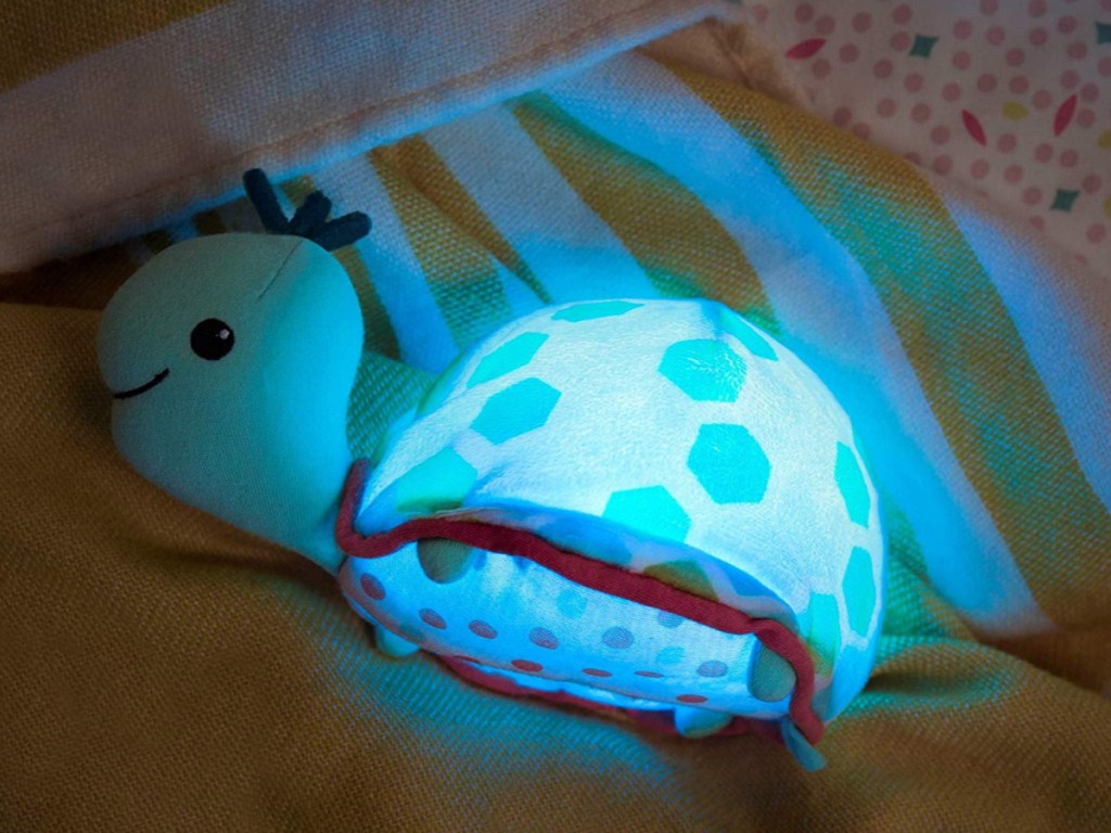 glow turtle on bedding