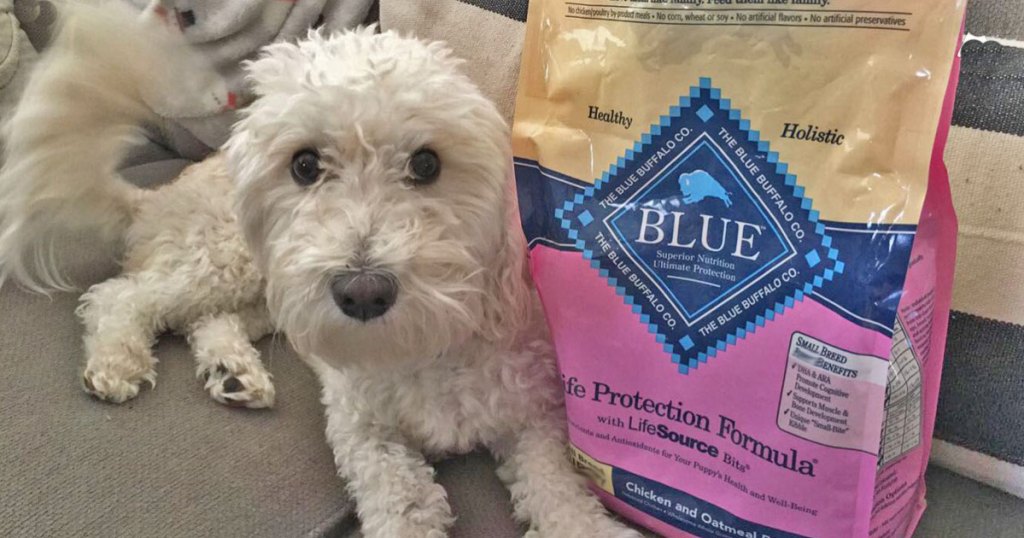 Blue Buffalo Senior Dog Food 15-Pound Bag Just $17 Shipped at Amazon