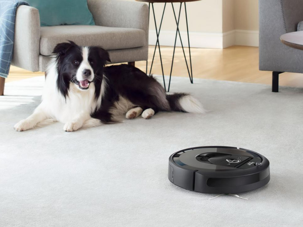 dog laying on floor in front of armchair watching a robot vacuum
