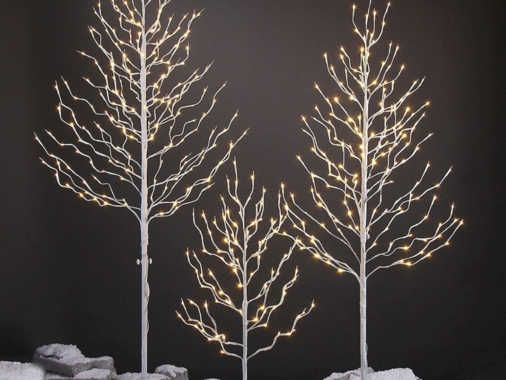 lighted white trees outdoors
