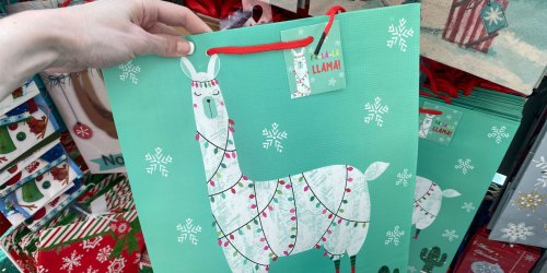 $1 Gift Wrapping Supplies at Dollar Tree | Giant Bags, Tags, Boxes, & Bows