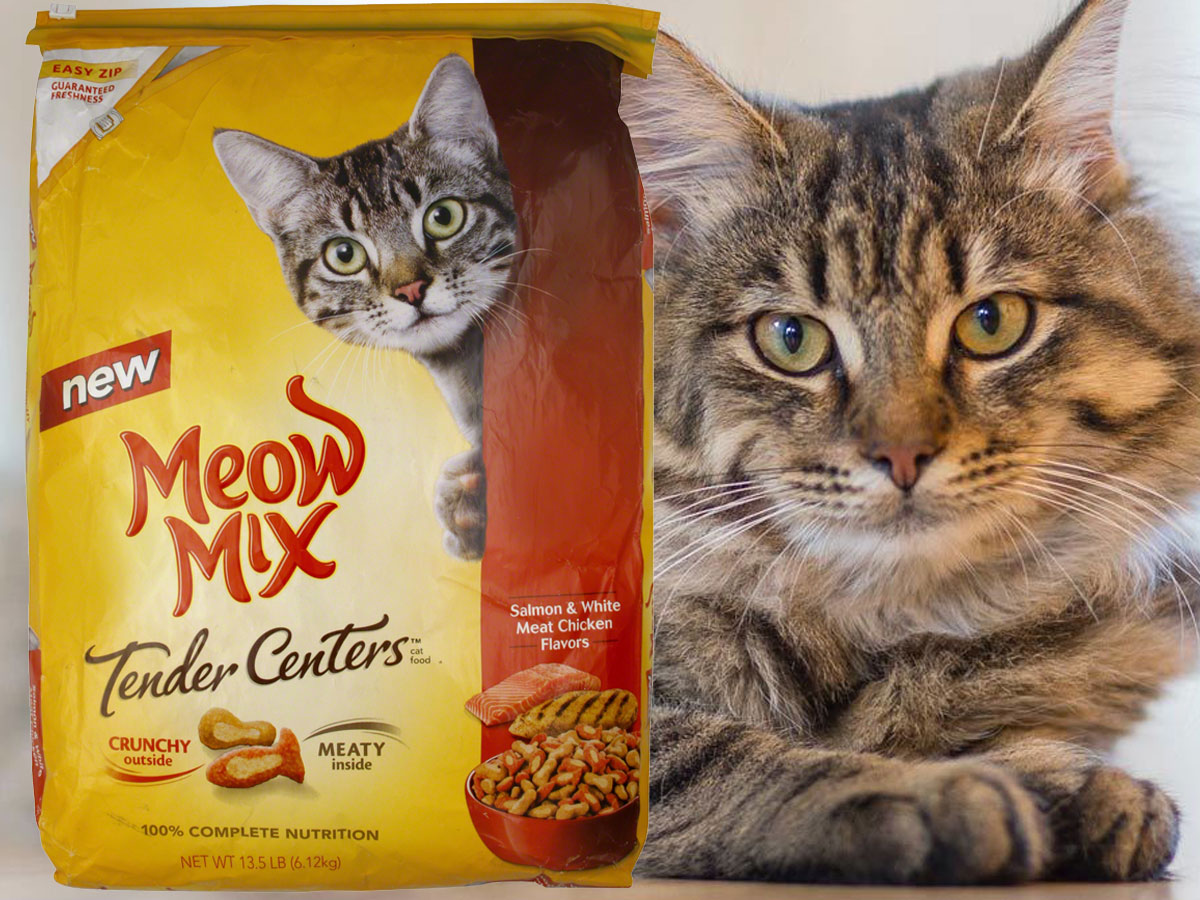 Meow Mix Tender Centers 13.5-lb Dry Cat Food with cat sitting by bag