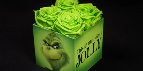 Would You Pay $79+ to Deliver the Gift of Grinch This Holiday Season?