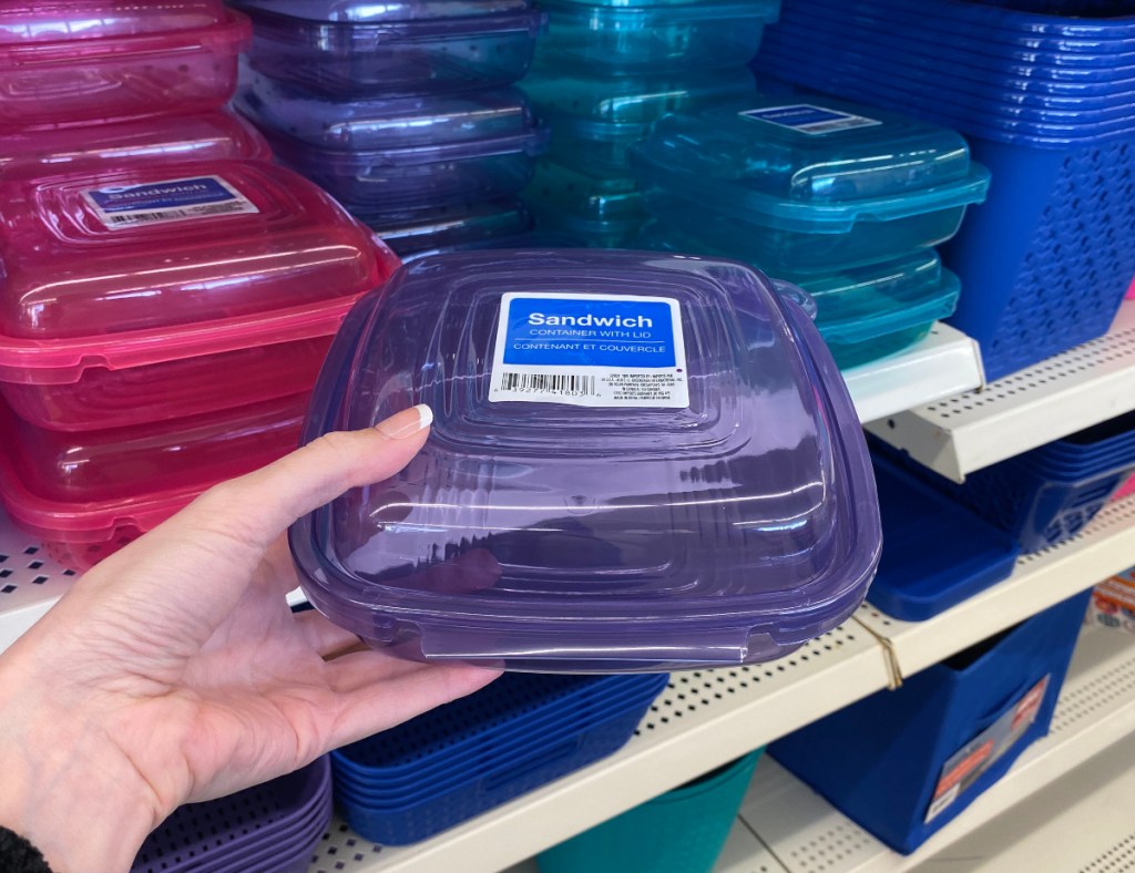 purple sandwich container at Dollar Tree
