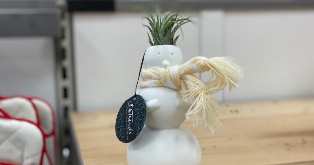 snowman with air plant hair