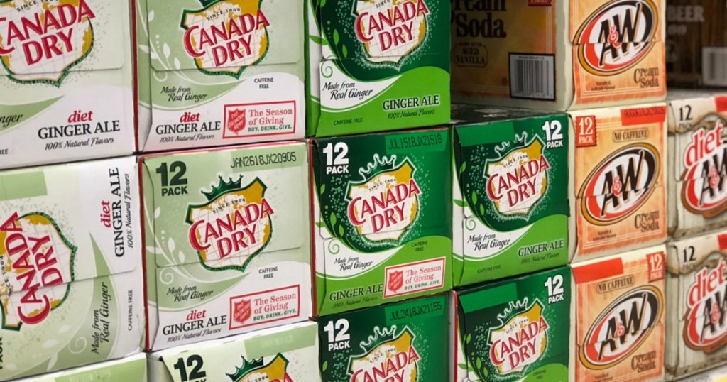 canada dry 12-pack soda cans on a shelf in a store