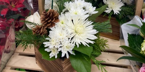 Pretty Winter Floral Centerpiece Only $12.99 at Trader Joe’s