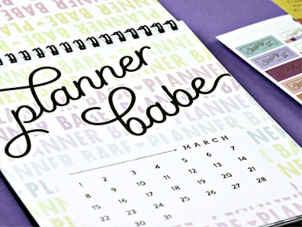 2020 Spiral Desk Calendar - Planner Babe