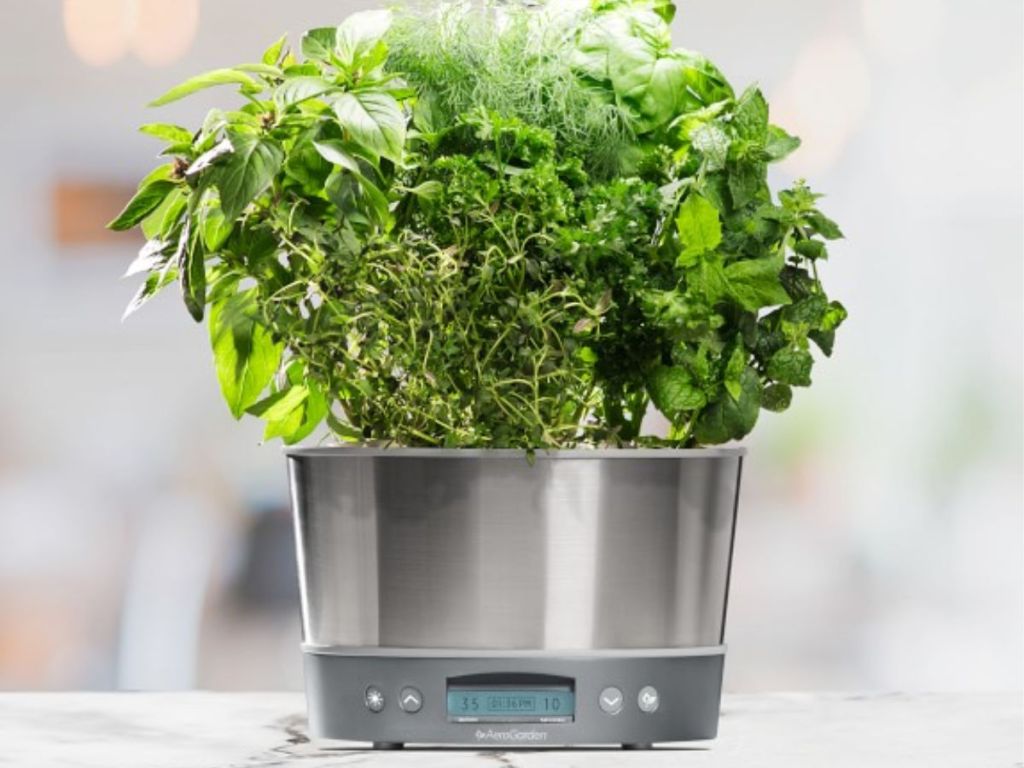 Aerogrow AeroGarden Harvest Elite 360 with herbs being grown on countertop