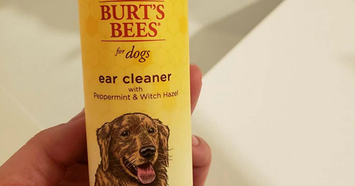 burt's bees ear cleaner