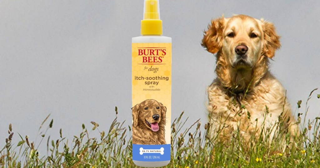 Burt’s Bees For Dogs Natural Itch Soothing Spray Only $2.13 Shipped on