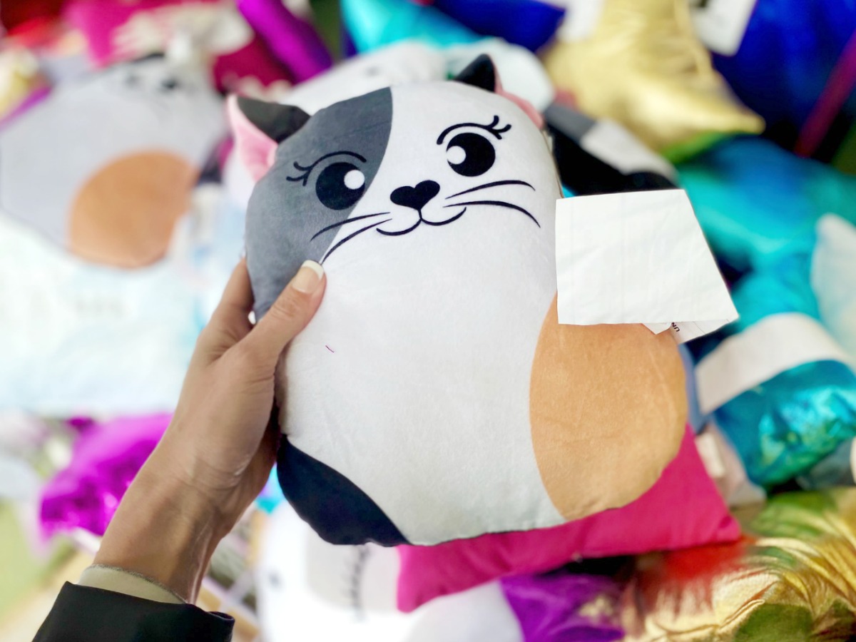 Cat themed squishy pillow near in-store display of throw pillows