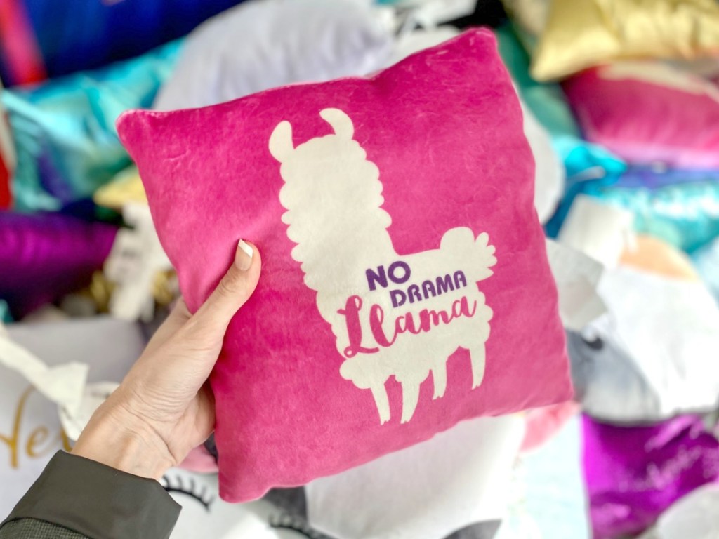 Fashion Squishy Pillows in hand at Dollar Tree