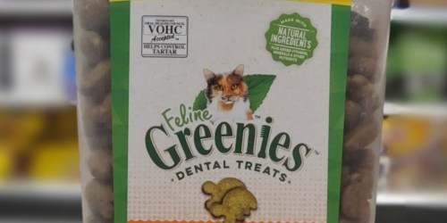 HUGE Greenies Cat Treats Container Only $5 Shipped at Amazon