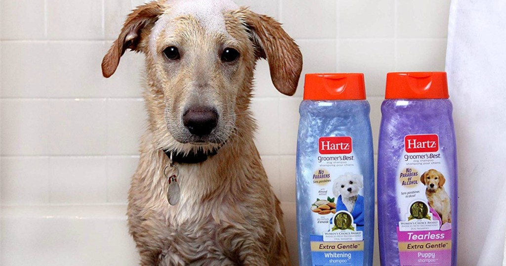 Dog sitting in tub with Hartz Groomer's Best Dog Shampoo on edge of tub