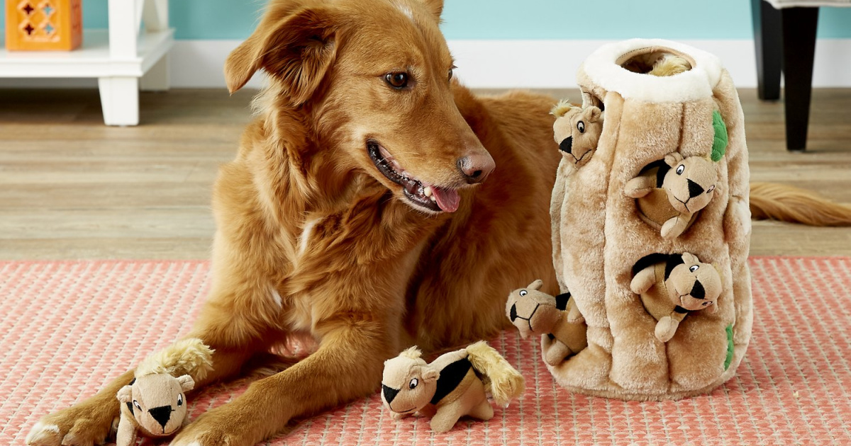 chewy dog puzzle