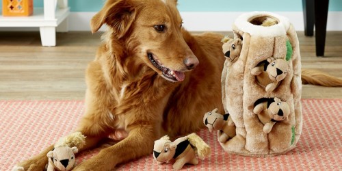 Up to 70% Off Dog Toys at Chewy.com