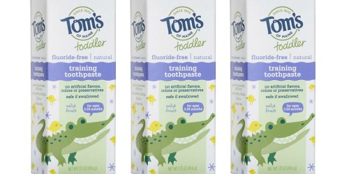Tom’s of Maine Fluoride-Free Children’s Toothpaste 3-Pack Only $5.40 Shipped at Amazon (Regularly $13)