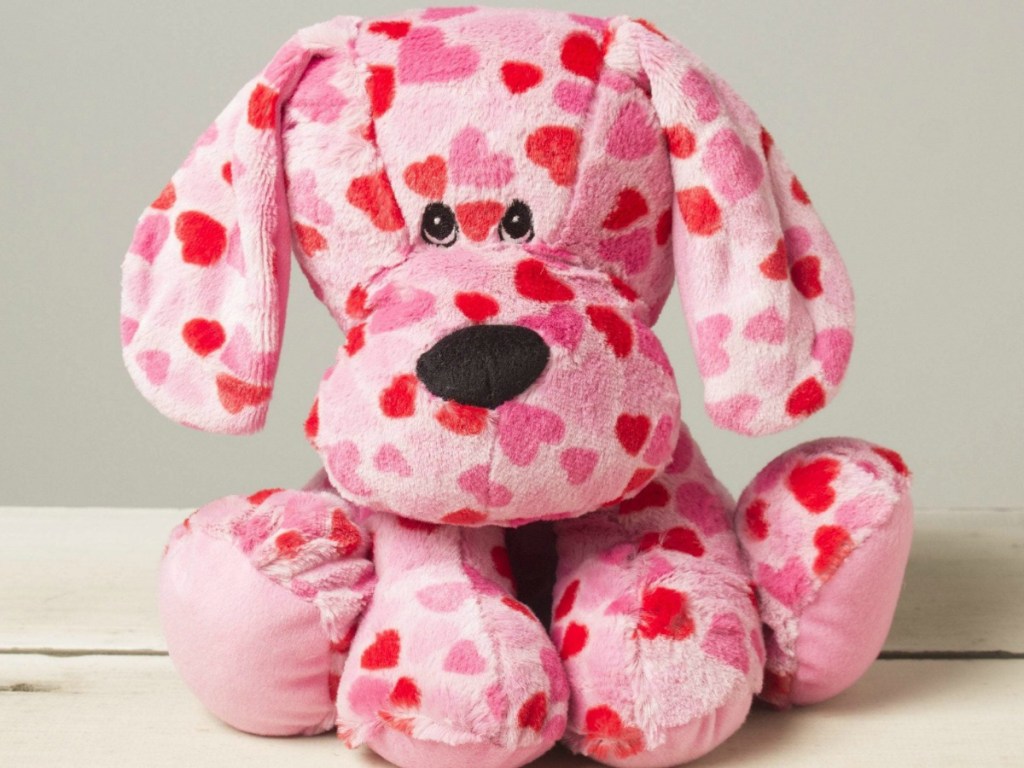 Valentine's Day Dog with pink and red hearts