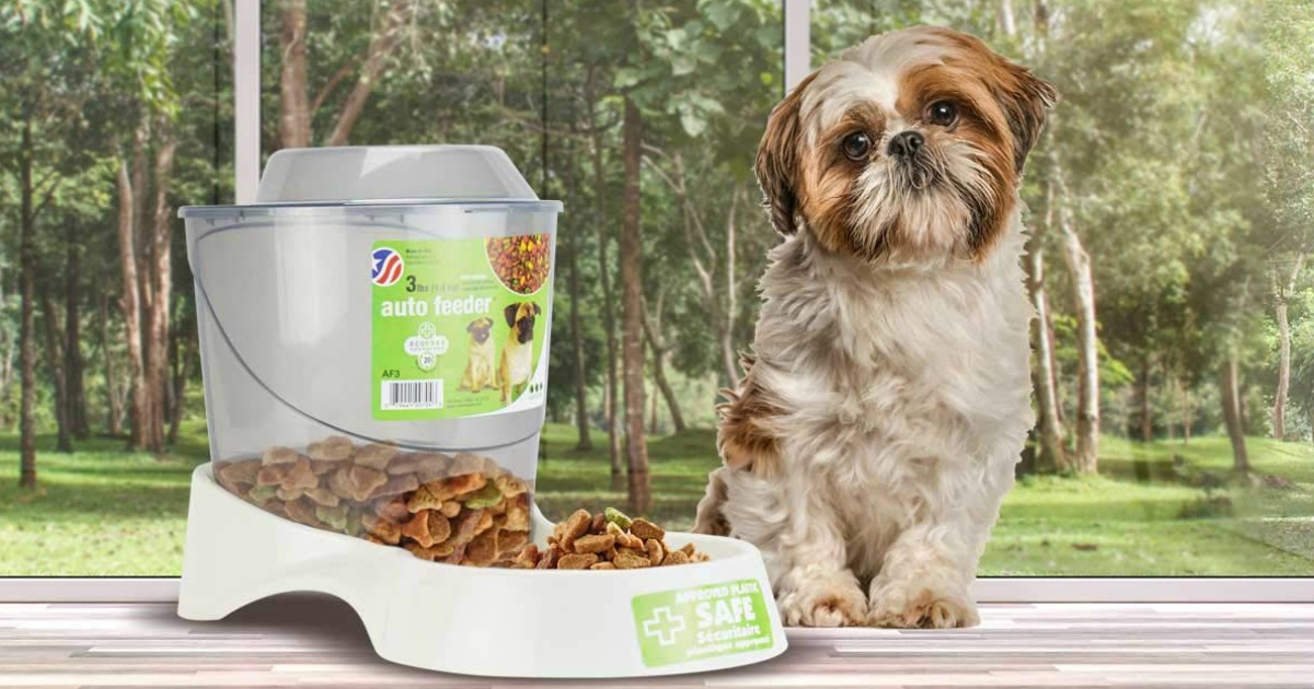 van ness auto feeder