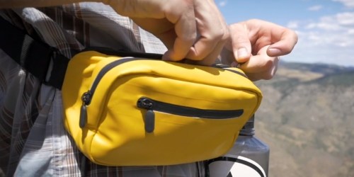 More Than Just a Fanny Pack – Would You Pay Over $100 for This Highly-Rated Product?