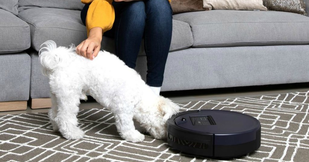 woman petting white dog while it sniffs robotic vacuum