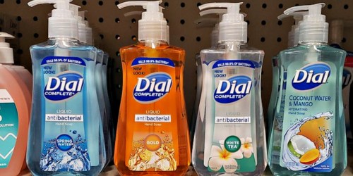Dial Antibacterial Liquid Hand Soap 4-Pack Only $3 Shipped on Amazon | Just 85¢ Per Bottle