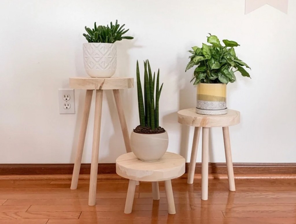 three wood planter stands on wood floor with plants on top