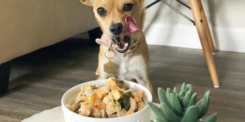**50% Off Fresh Pet Food from NomNomNow + FREE Shipping