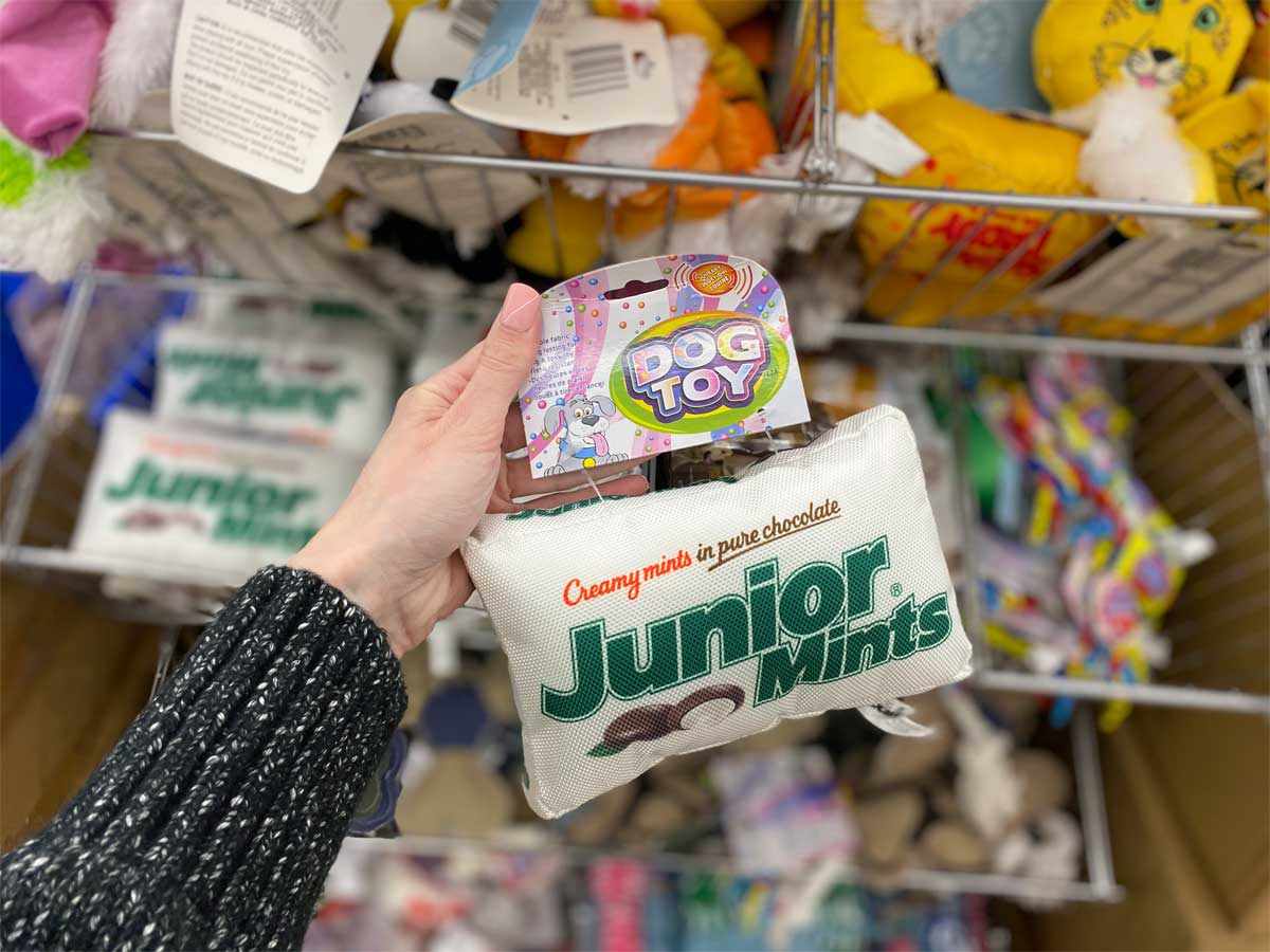hand holding a Junior Mints dog toy