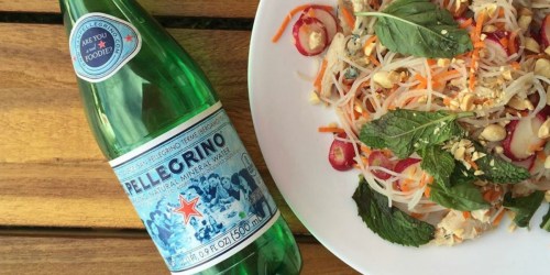 S.Pellegrino Sparkling Water 24-Pack Only $12.34 Shipped on Amazon | Just 51¢ Per Bottle