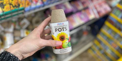 Starter Pots & More Just $1 at Dollar Tree | Get a Head Start on Your Garden