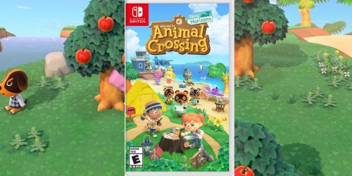 Animal Crossing New Horizons Nintendo Switch Game Only $49.94 Shipped on Amazon (Regularly $60)