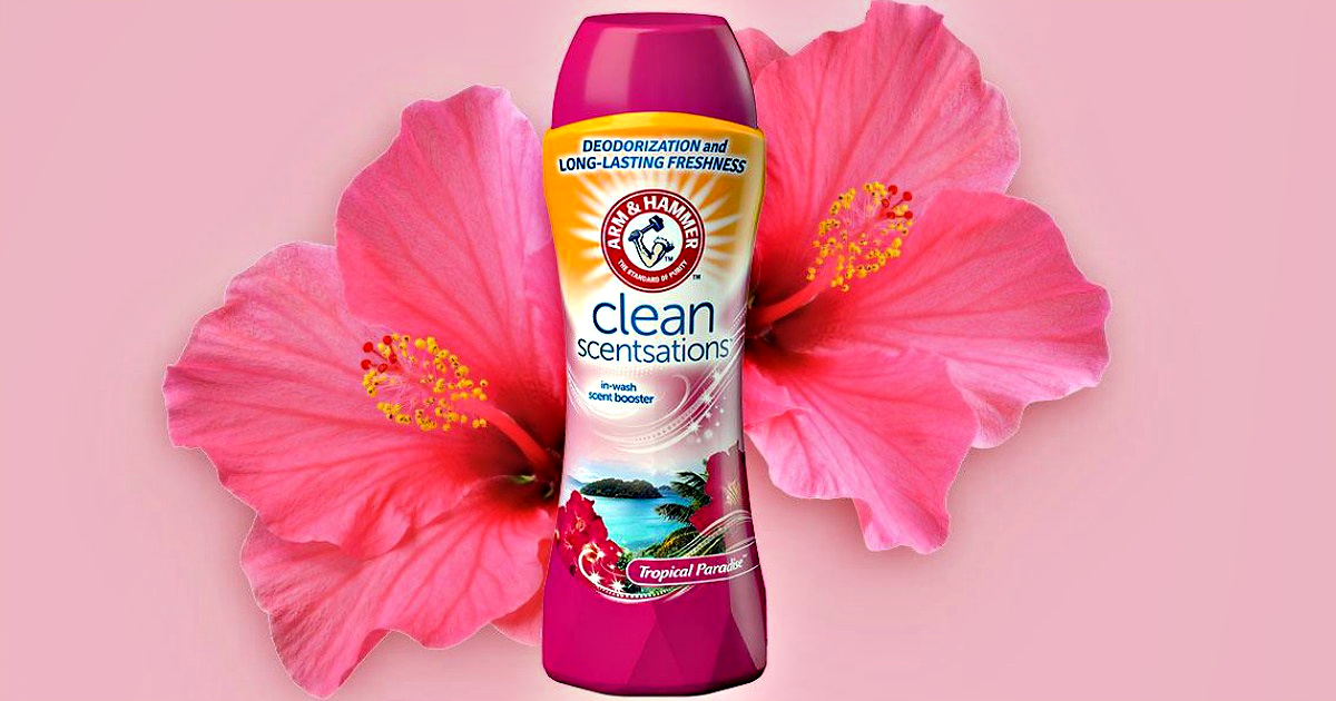 Arm & Hammer Scent Booster 4-Pack Only $13 Shipped on Amazon (Just $3.28 Each!)