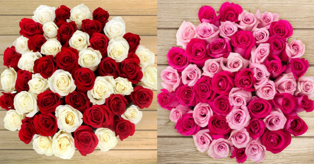 FIFTY Roses as Low as $39.98 Shipped | Free Delivery For Valentine’s