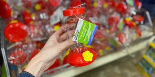 Grab These Cute Hummingbird Feeders For Only $1 at Dollar Tree