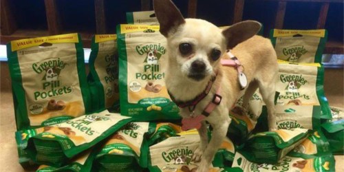 Up to 45% Off Greenies Natural Dog Treats on Amazon