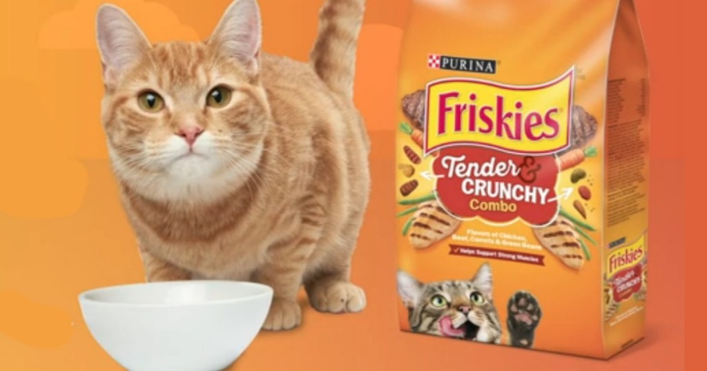 Purina Friskies Dry Cat Food 6.3lb Bag Only 4.72 Shipped on Amazon