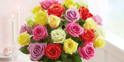 TWO Dozen Roses Only $29.99 Delivered from 1-800 Flowers | Hip2Save Tested