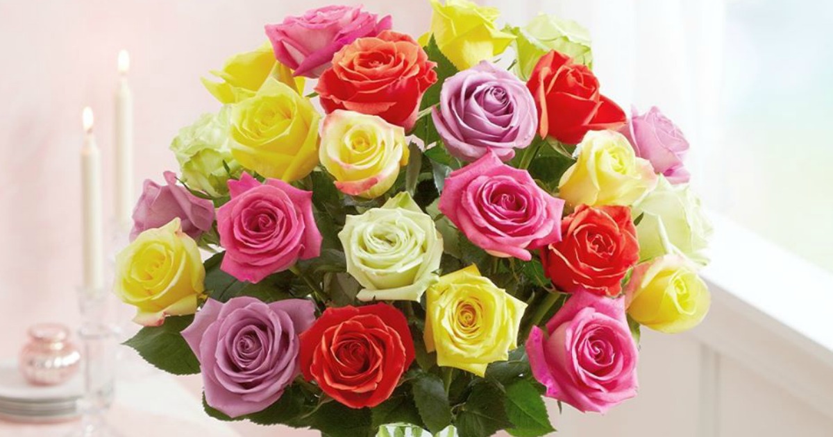 Two Dozen Roses Only 29 99 Delivered From 1 800 Flowers Hip2save Tested Hip2save