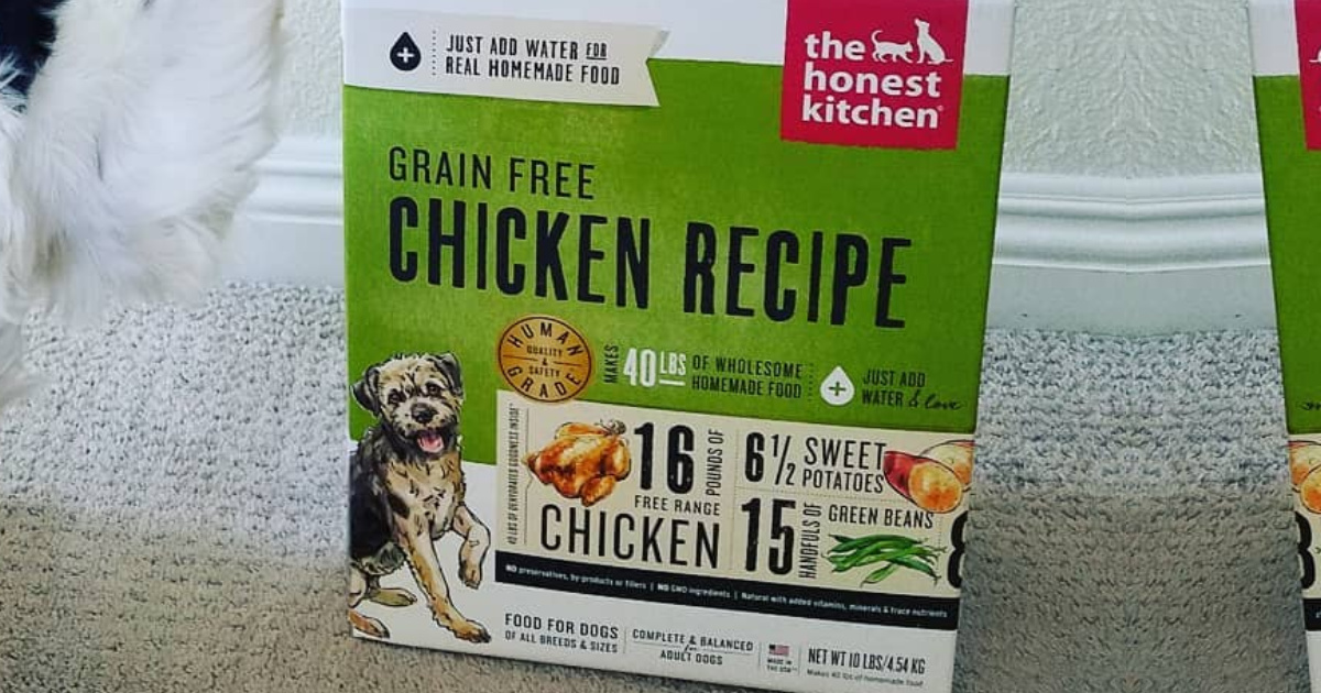 honest kitchen dog food amazon