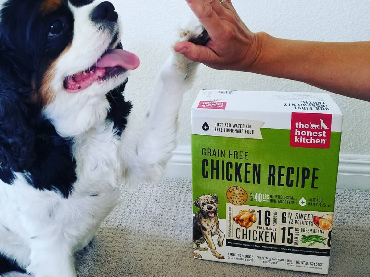 honest kitchen dog food amazon