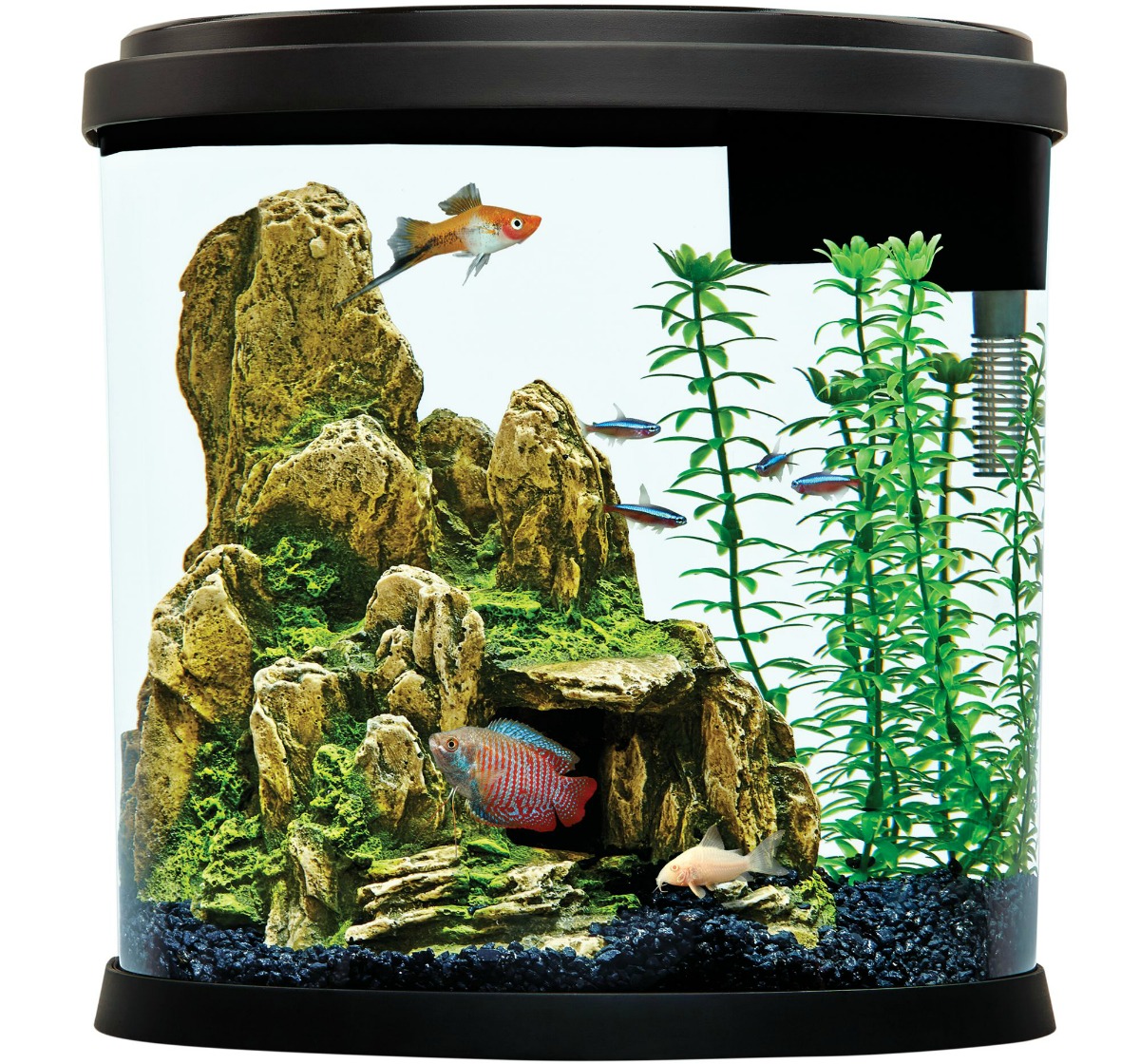fish tank top
