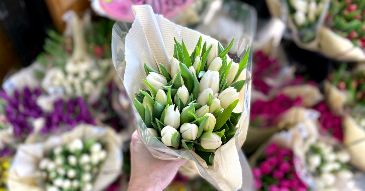 TWO Dozen Tulips Only 10.99 at Trader Joe's