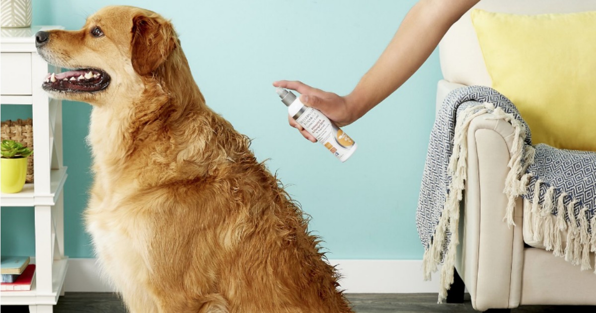 antiseptic and antifungal spray for dogs