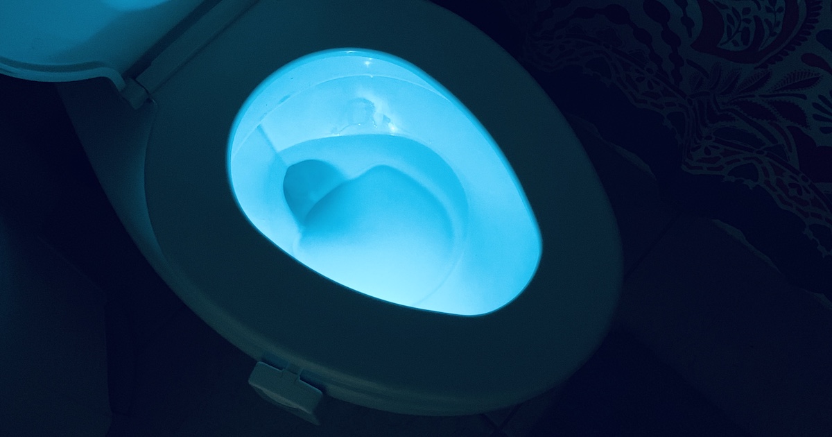 Using the bathroom at night just got easier with the LumiLux toilet light