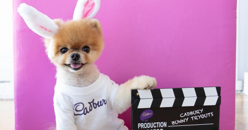 dog dressed as Cadbury bunny